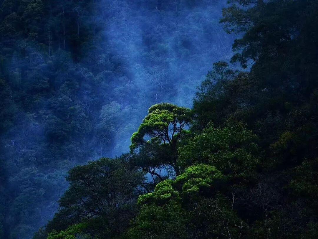 小萝莉泰国度假